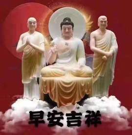 龙菲菲越来越好主播照片