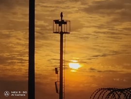 O_T洋洋主播照片