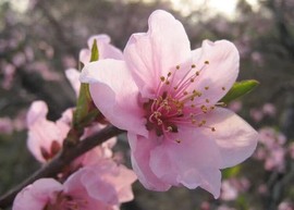 心动ぐつ媚儿主播照片