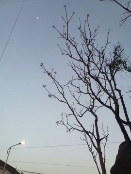 唯爱🌺小艾主播照片