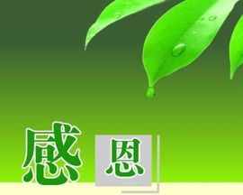 冰心有事不定时直播主播照片