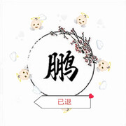鹏独宠一人海报