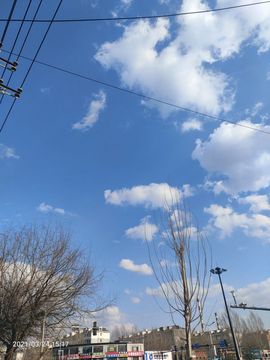 ╰╮玲珑╭╯主播照片