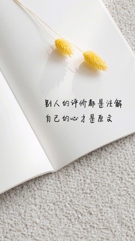 小雅代理ღ好运来主播照片