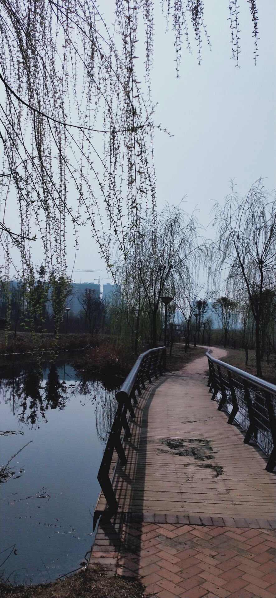 婷婷💕求过月底任务的图片