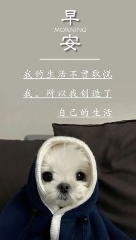 简单心晴主播照片