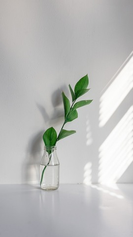 小雅代理ღ好运来主播照片