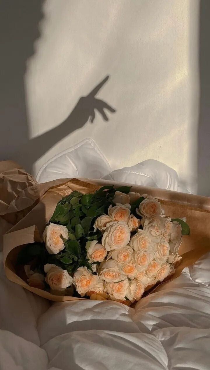 苏苏，越来越好的图片
