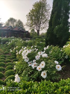 小阿琳🎶主播照片