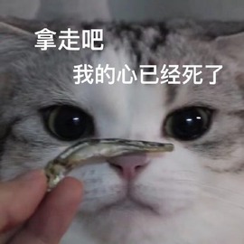 ❤❤梓萱纯粹唱歌主播照片