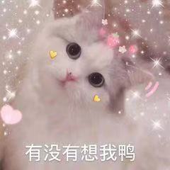 🧜‍♂️🧜‍♂️主播照片