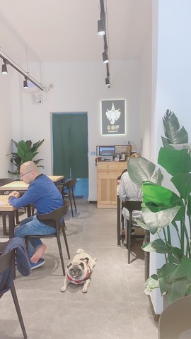 安静唱歌的䒕麻花我白主播照片