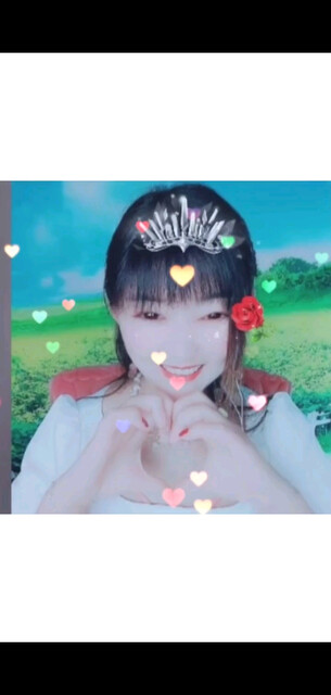 四月加油/狗狗/狗狗