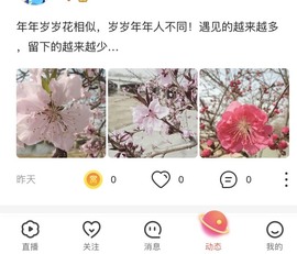 、一袭青衣卧龙城主播照片