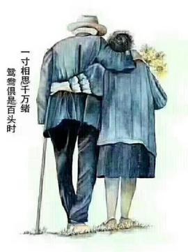 龙菲菲越来越好主播照片