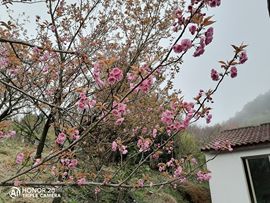 念念尊师萧剑主播照片
