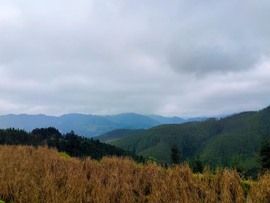 周七周七周七主播照片