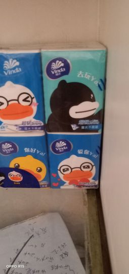 胆量小的华主播照片