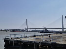 大军带你游玩上海主播照片