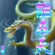 ★龍在天★海报