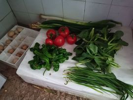 果果(平安好运)主播照片