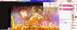 胖可退了主播照片
