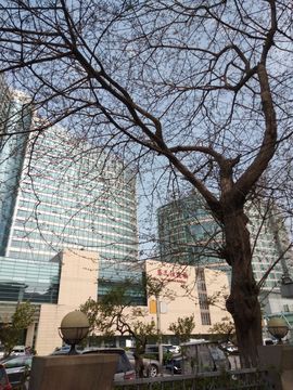 倾音[期遇FM]主播照片