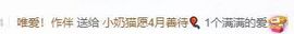 小奶猫谢谢哥哥们主播照片