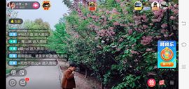 小芳，🌸减肥打卡主播照片