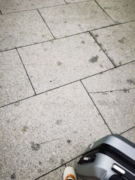 新人晴宝！的图片