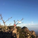 耐心等待op