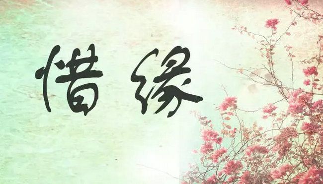 丑小鸭💞愿有一束光的图片