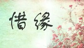 鸭鸭宝我耐你哈哈哈的图片