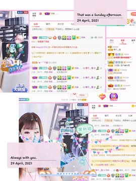 一只雁~主播照片
