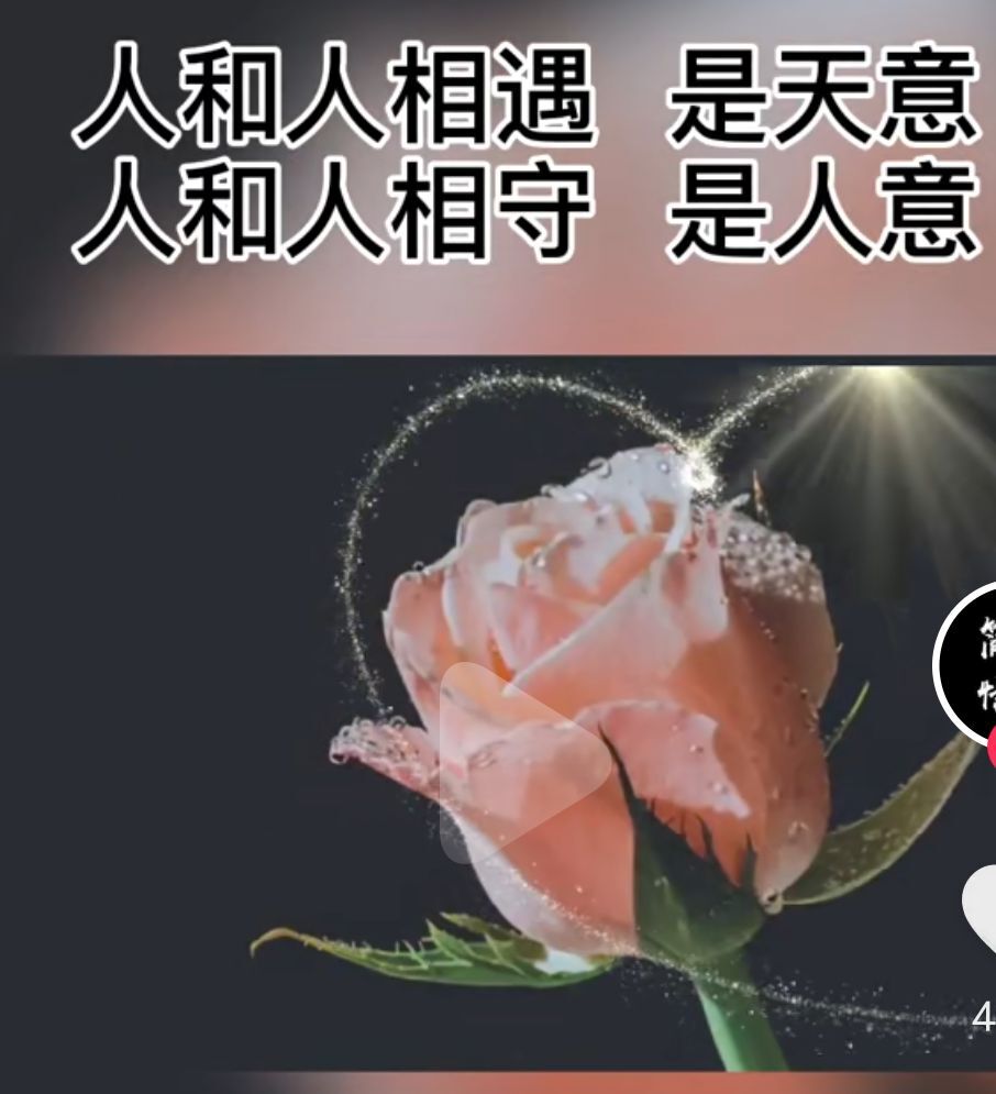 丑小鸭💞愿有一束光的图片