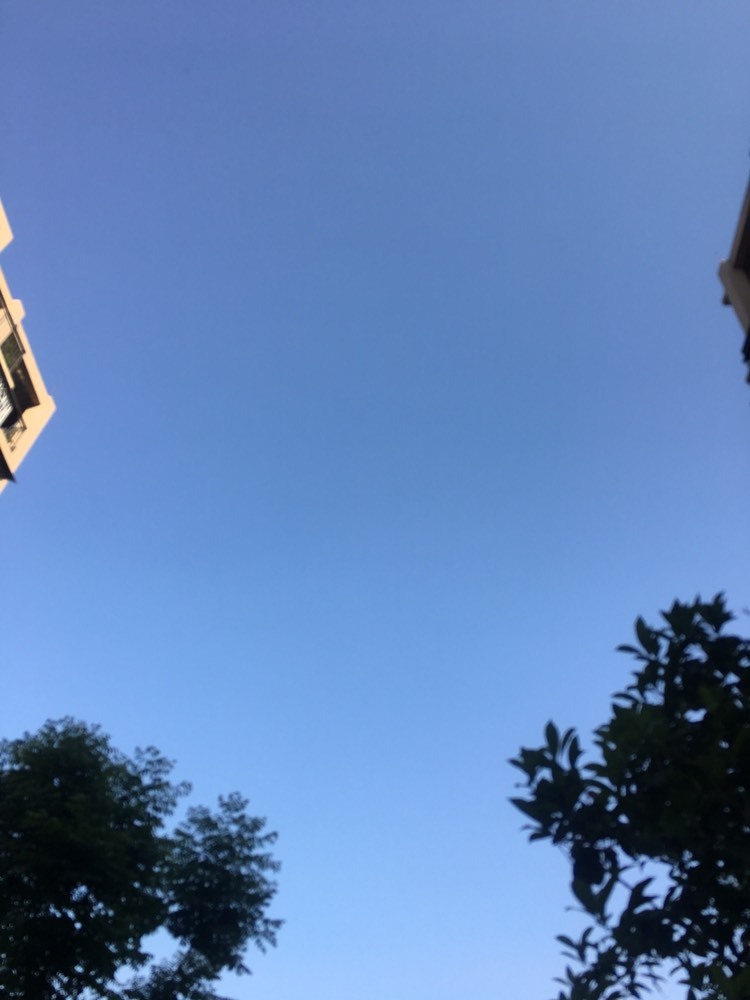 紫薇☆☆音乐频道的图片