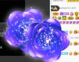 宝儿♚家里有事休息主播照片
