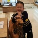 宸兴b