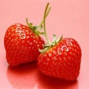 小草莓🍓🍓🤔