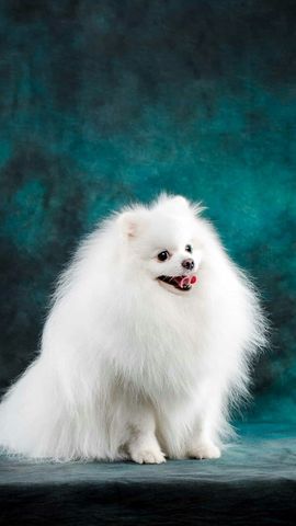 ❤❤❤奞犘❤❤❤的图片