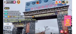 ……若主播照片