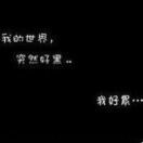 鱼缸里的小丑鱼