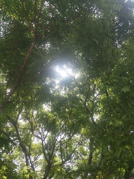 歌痴颖宝主播照片
