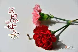 倾音[期遇FM]主播照片