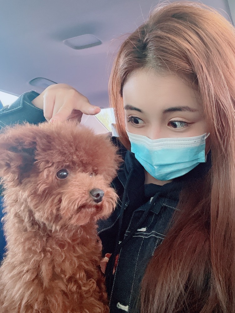 跑调嘉💟晚上见的图片