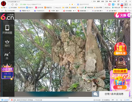 保利哥主播照片