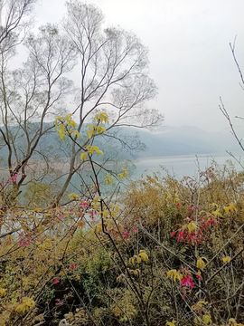 吴小优主播照片