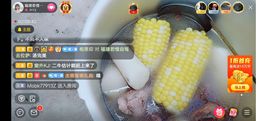 ……若主播照片