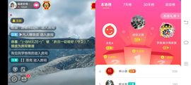 ……若主播照片