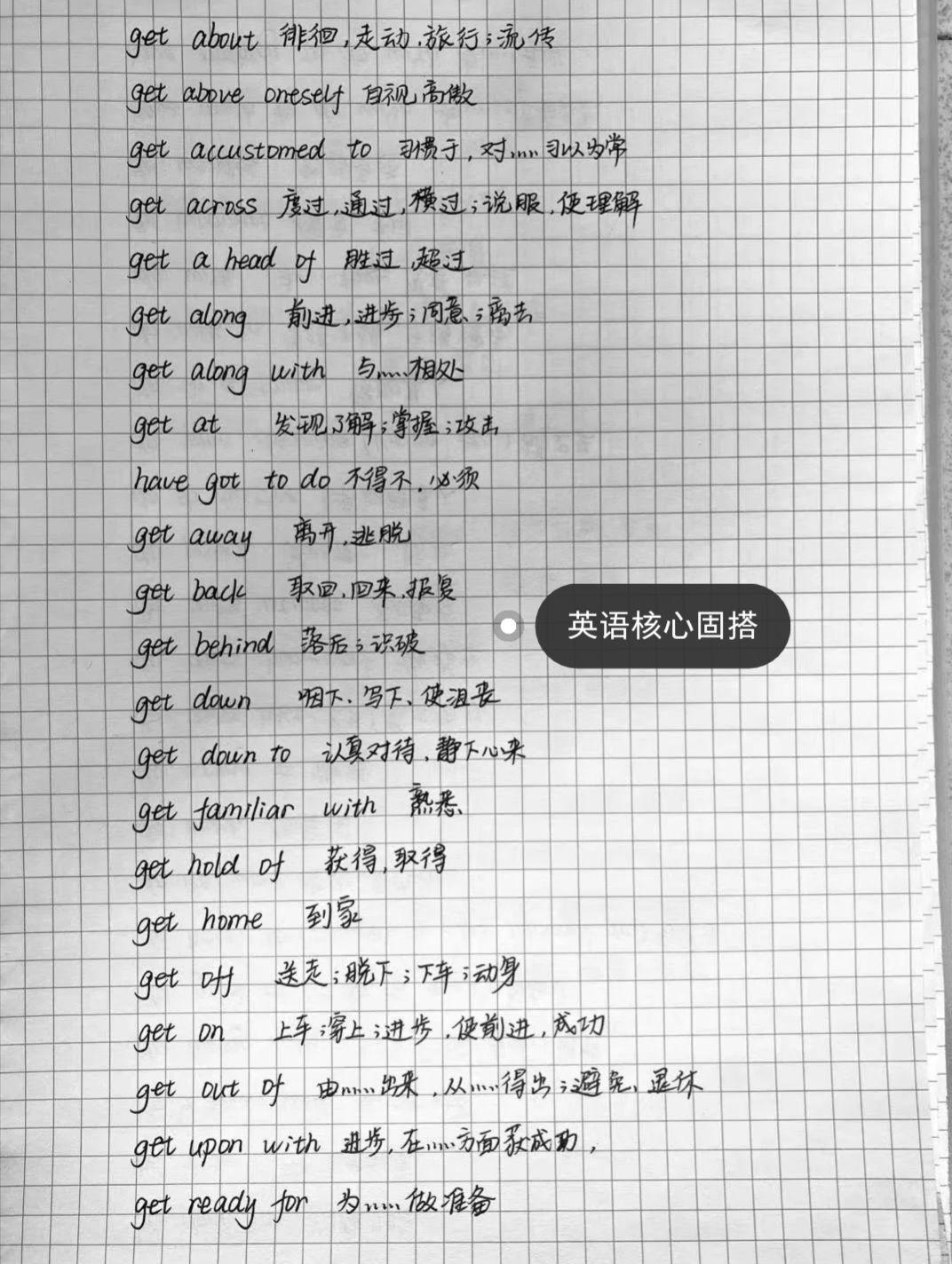 果果(平安好运)的图片